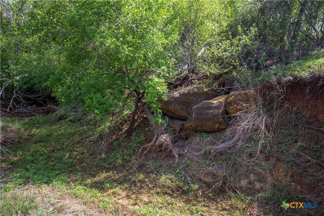 Goose Creek Ranch | 22.25± Acres | Atascosa County