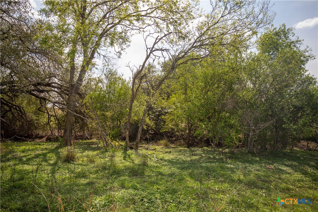 Goose Creek Ranch | 22.25± Acres | Atascosa County