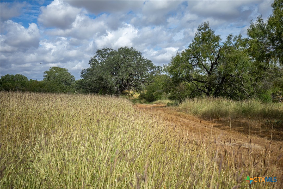 Goose Creek Ranch | 22.25± Acres | Atascosa County