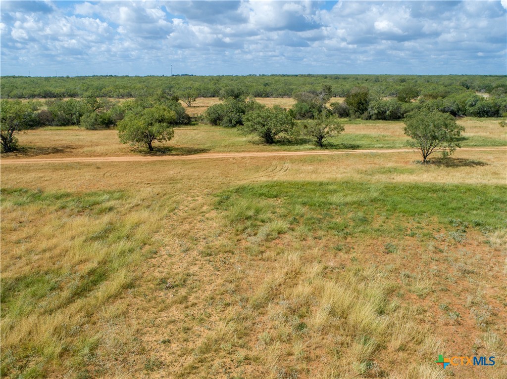 Goose Creek Ranch | 22.25± Acres | Atascosa County