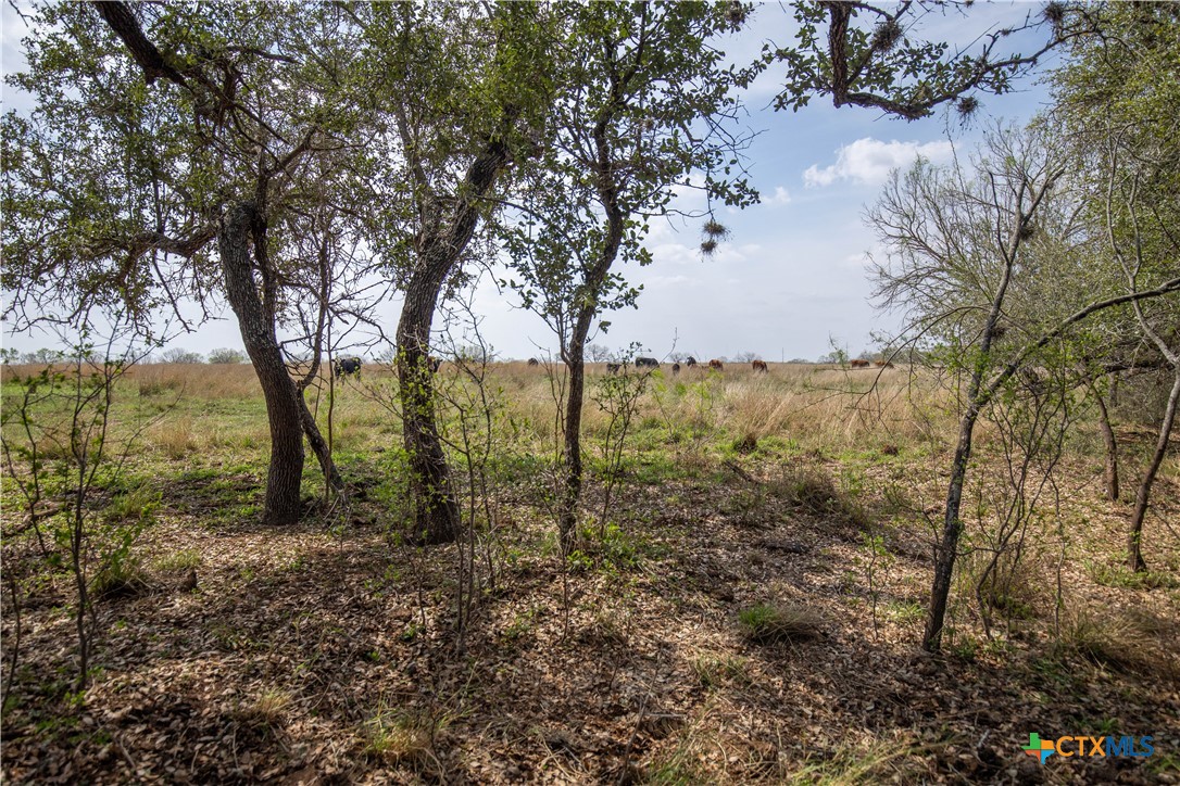 Goose Creek Ranch | 22.25± Acres | Atascosa County