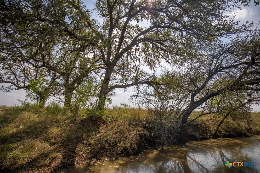 Goose Creek Ranch | 22.25± Acres | Atascosa County