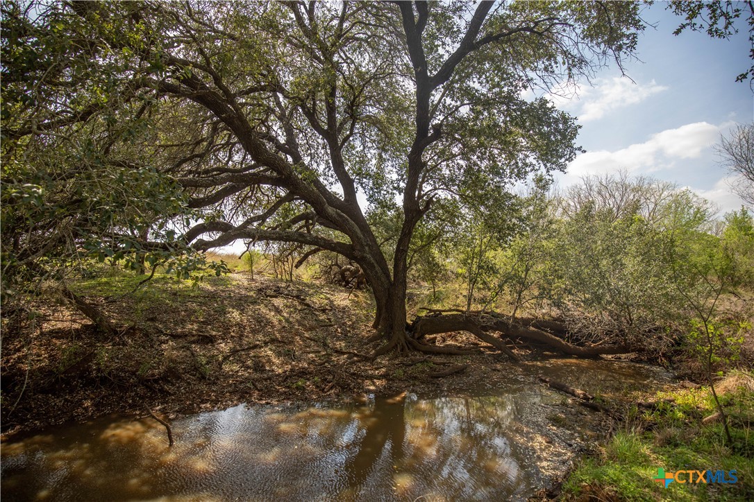 Goose Creek Ranch | 22.25± Acres | Atascosa County
