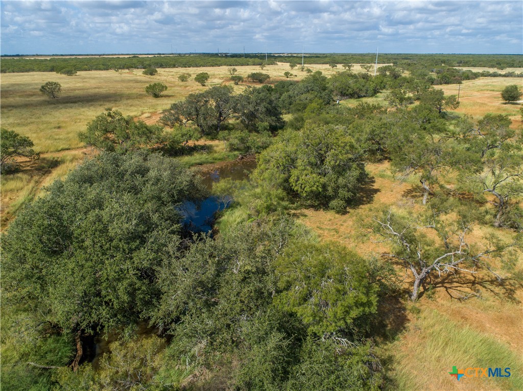Goose Creek Ranch | 22.25± Acres | Atascosa County