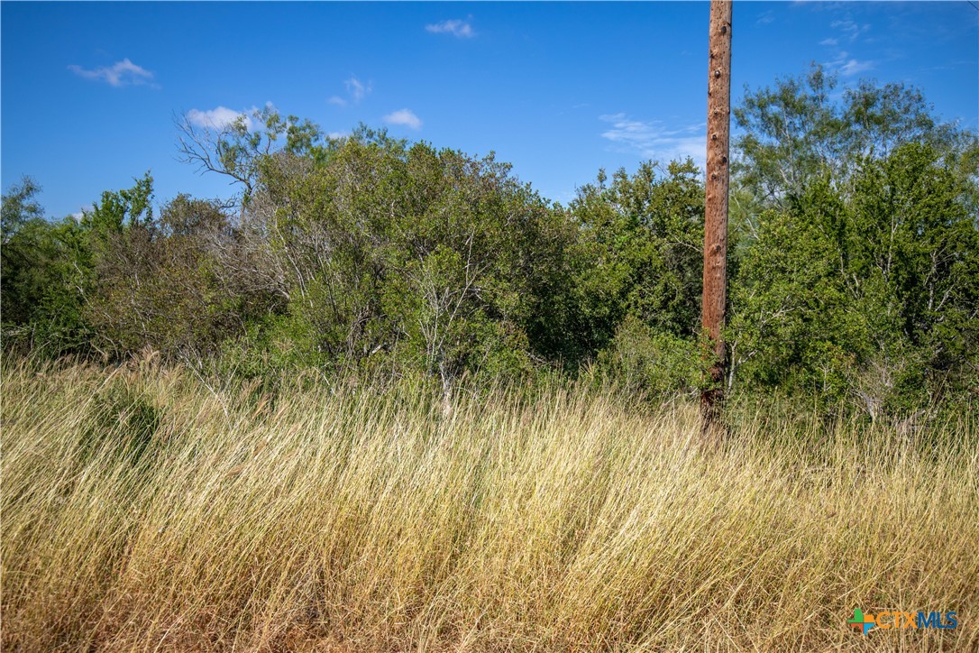 Goose Creek Ranch | 22.25± Acres | Atascosa County