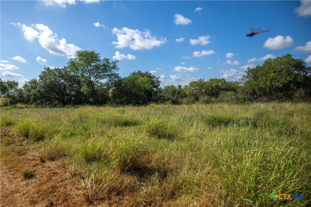 Goose Creek Ranch | 22.25± Acres | Atascosa County