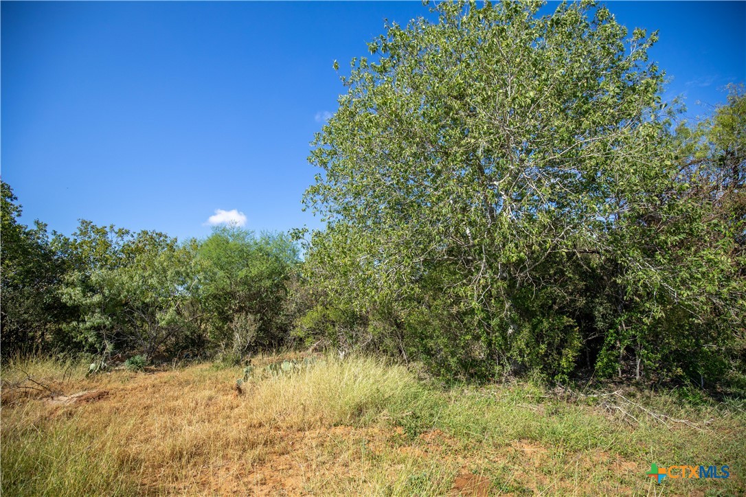 Goose Creek Ranch | 22.25± Acres | Atascosa County