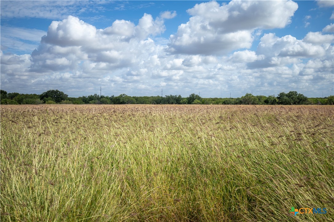 Goose Creek Ranch | 22.25± Acres | Atascosa County