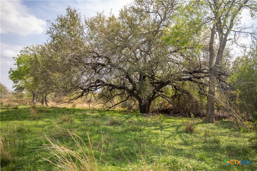 Goose Creek Ranch | 22.25± Acres | Atascosa County