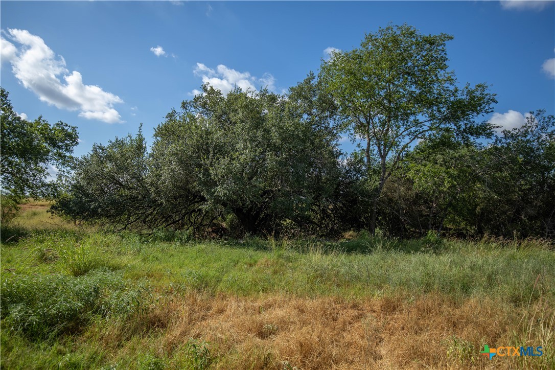Goose Creek Ranch | 22.25± Acres | Atascosa County