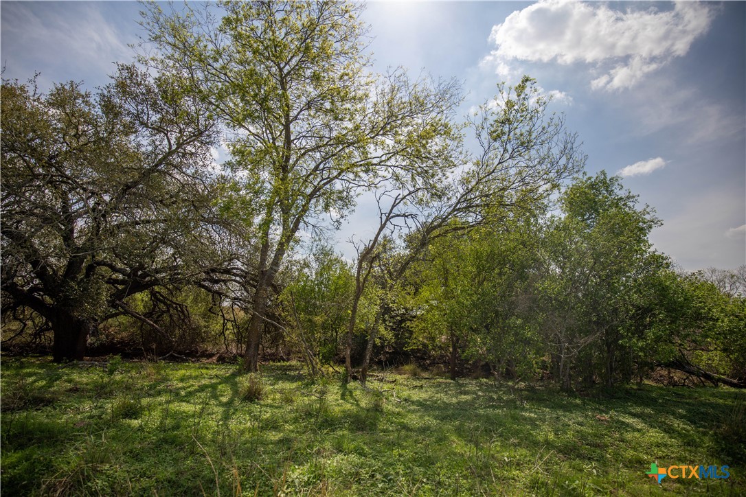 Goose Creek Ranch | 22.25± Acres | Atascosa County