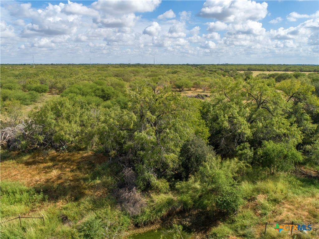 Goose Creek Ranch | 22.25± Acres | Atascosa County