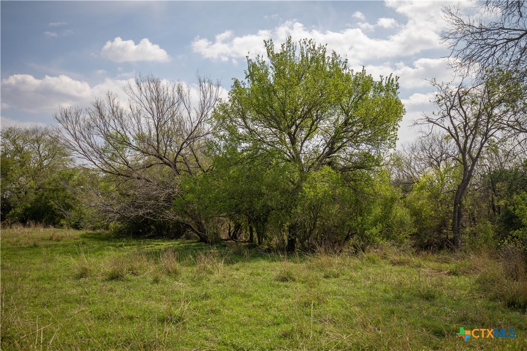 Goose Creek Ranch | 22.25± Acres | Atascosa County