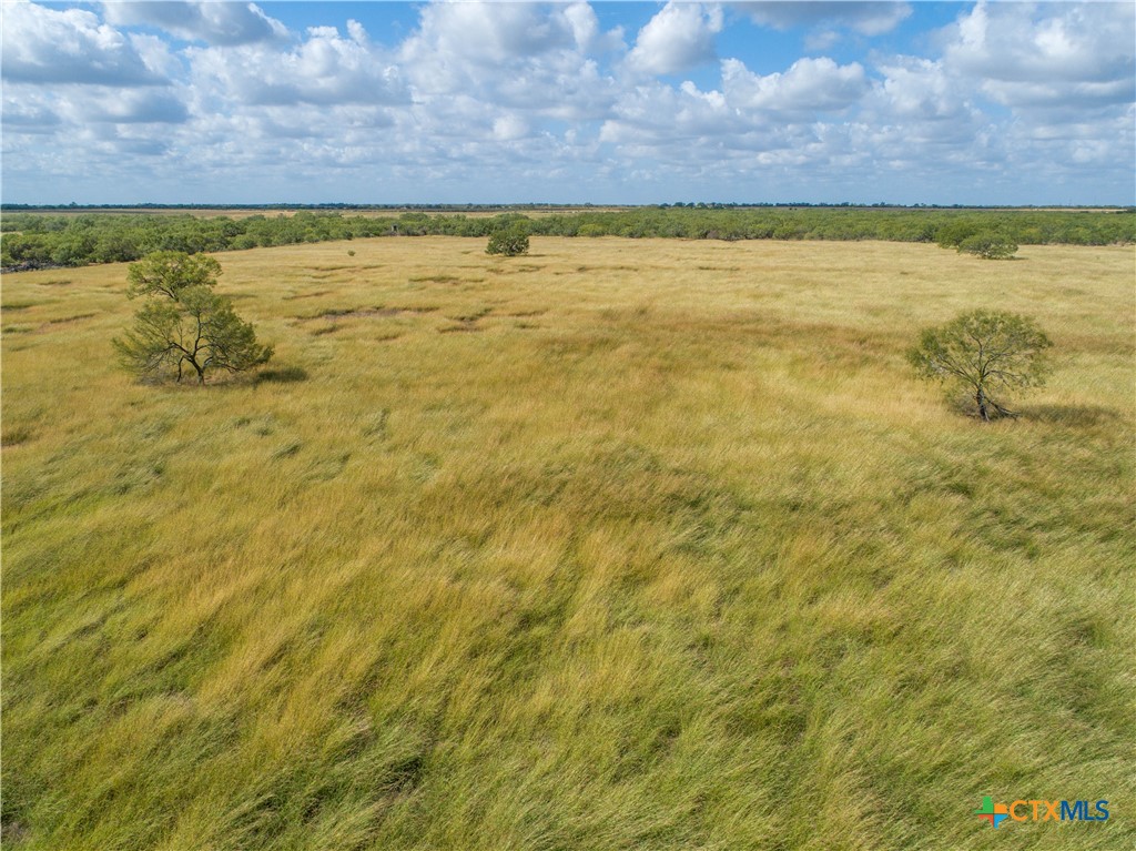 Goose Creek Ranch | 22.25± Acres | Atascosa County