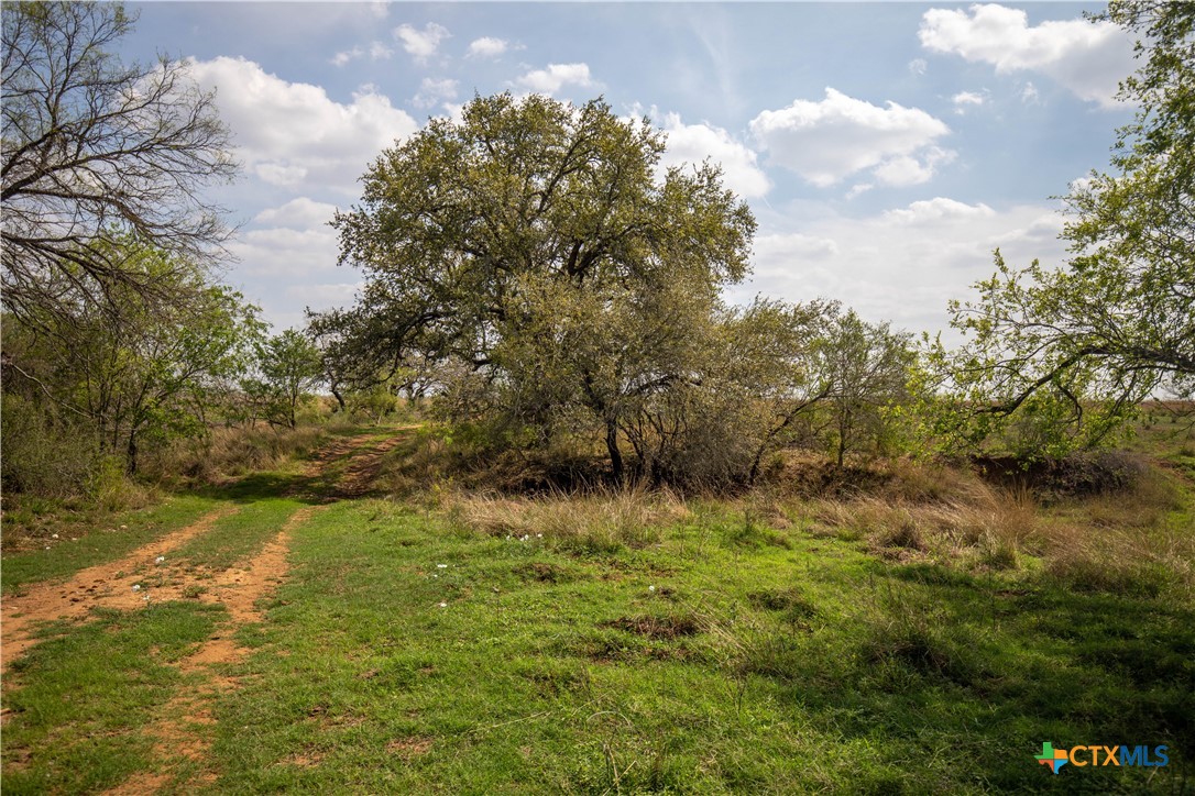 Goose Creek Ranch | 22.25± Acres | Atascosa County