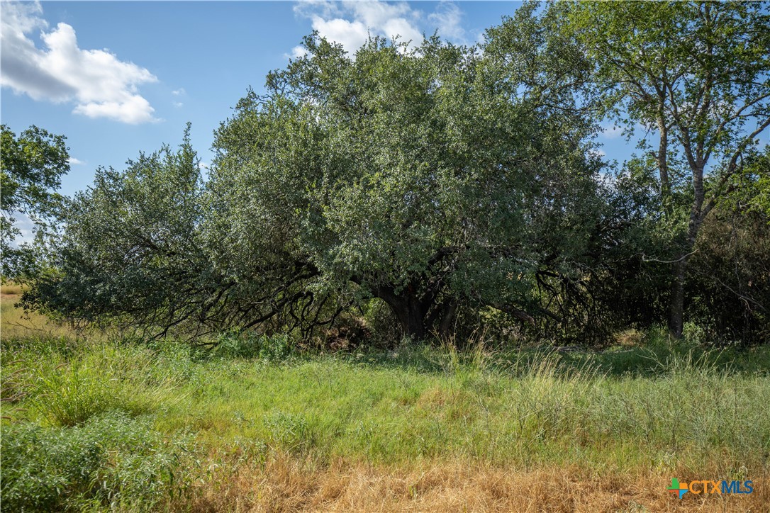Goose Creek Ranch | 22.25± Acres | Atascosa County