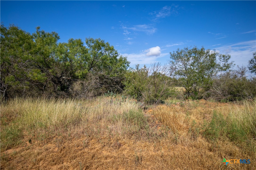 Goose Creek Ranch | 22.25± Acres | Atascosa County