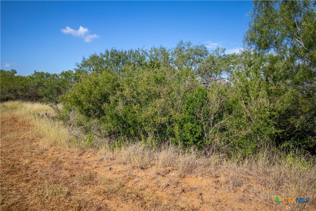 Goose Creek Ranch | 22.25± Acres | Atascosa County