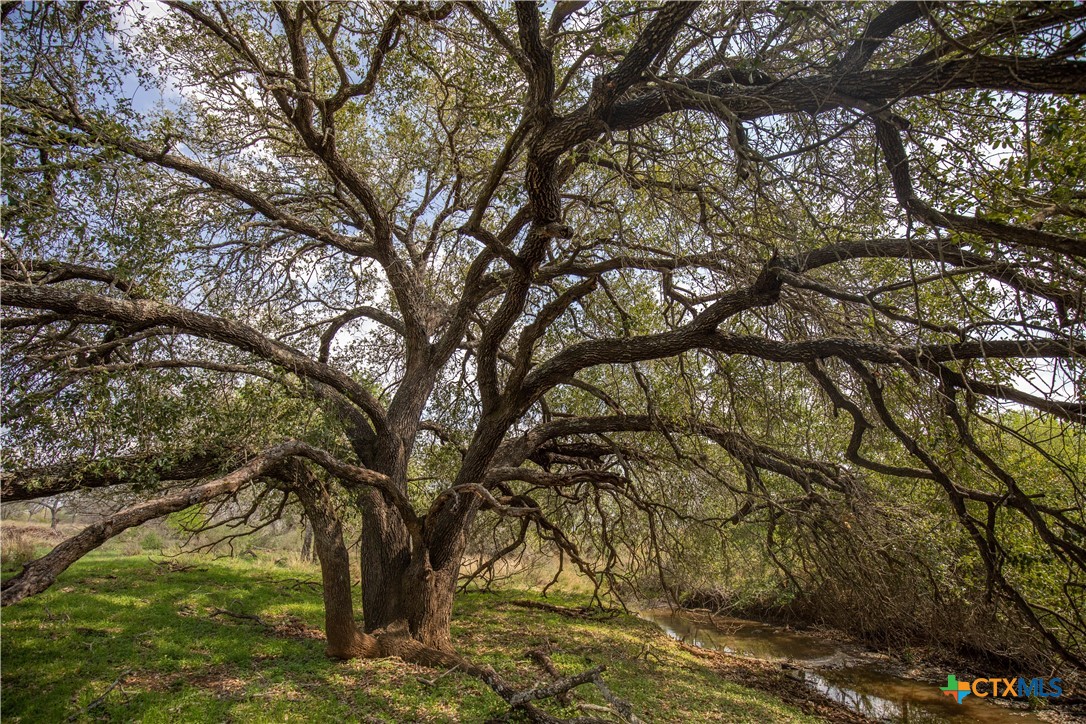 Goose Creek Ranch | 22.25± Acres | Atascosa County