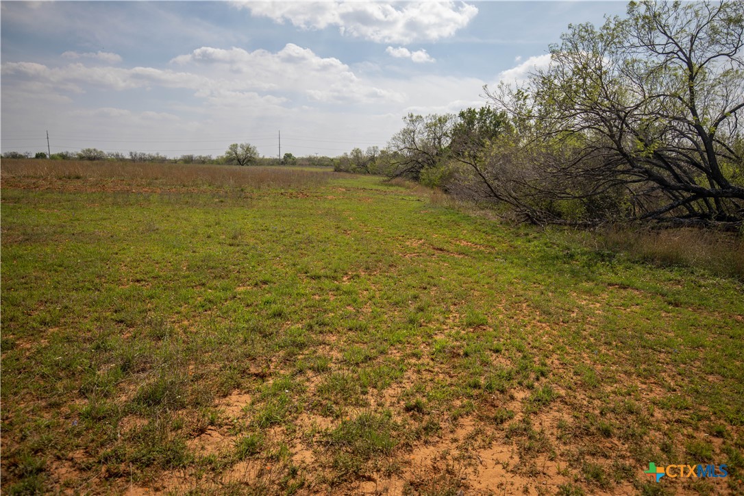 Goose Creek Ranch | 22.25± Acres | Atascosa County