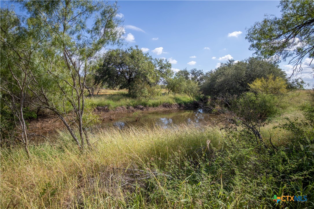 Goose Creek Ranch | 22.25± Acres | Atascosa County