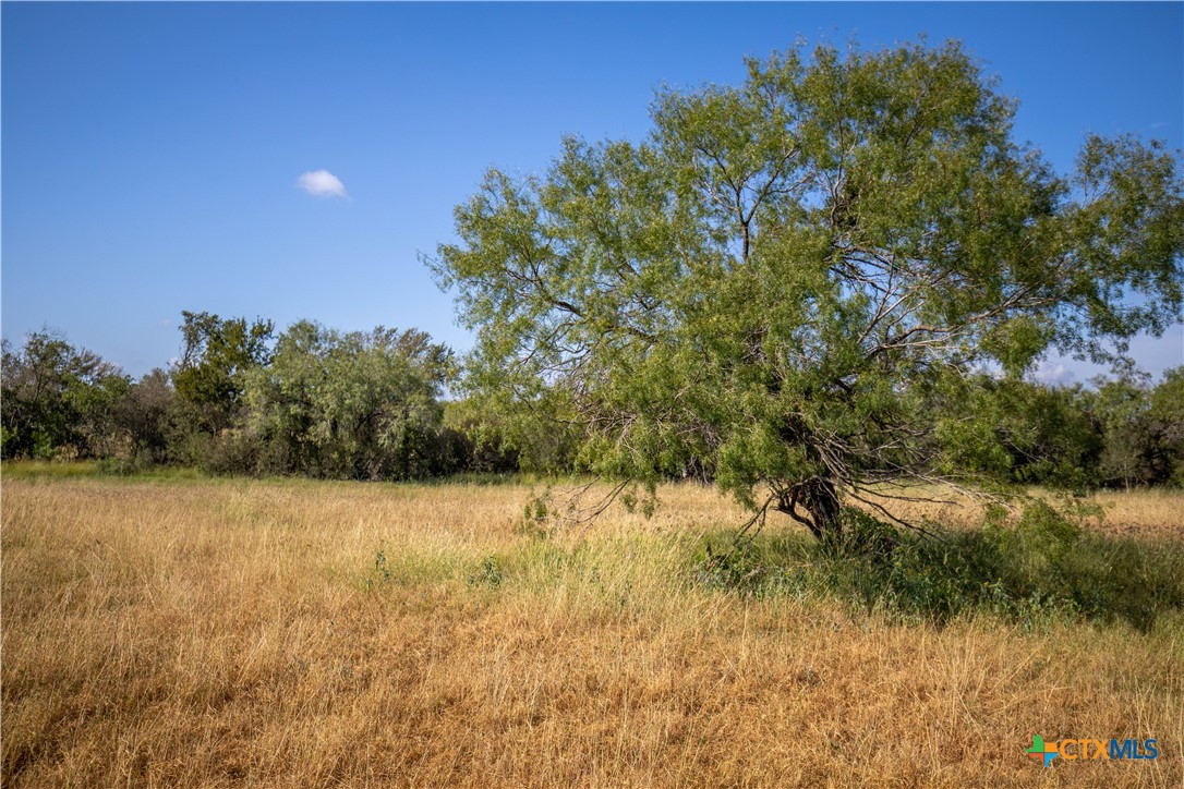 Goose Creek Ranch | 22.25± Acres | Atascosa County