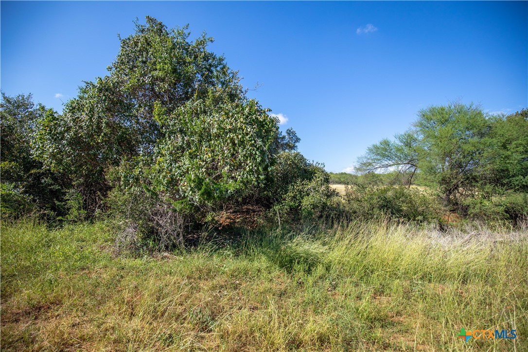 Goose Creek Ranch | 22.25± Acres | Atascosa County