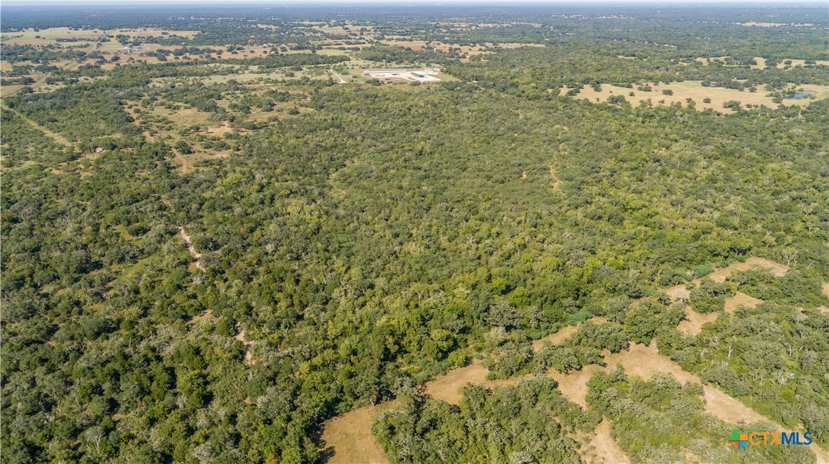 Spanish Moss Oak Ranchito | 109± Acres | DeWitt County