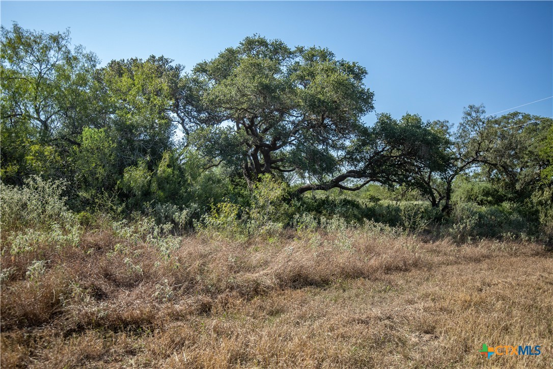 Spanish Moss Oak Ranchito | 109± Acres | DeWitt County