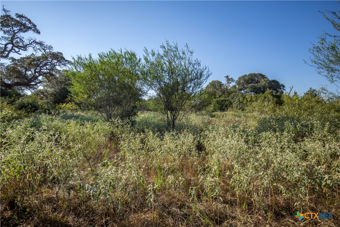 Spanish Moss Oak Ranchito | 109± Acres | DeWitt County