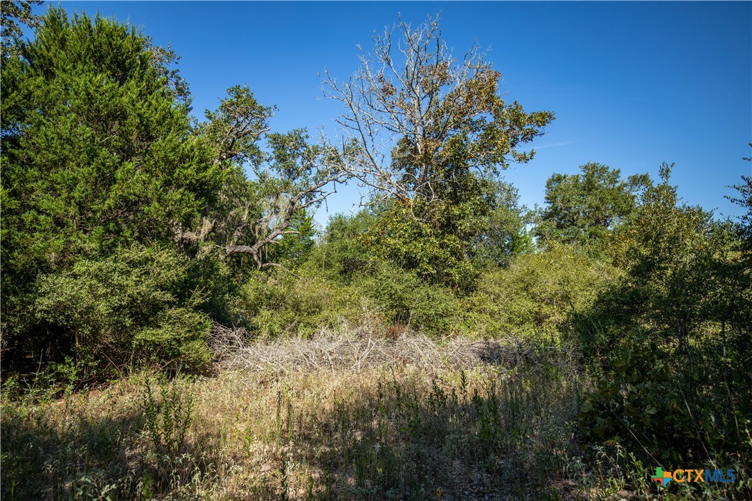 Spanish Moss Oak Ranchito | 109± Acres | DeWitt County