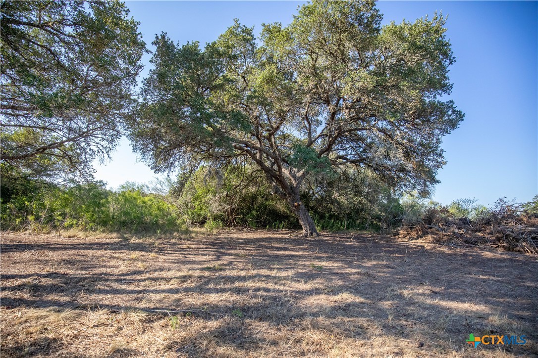 Spanish Moss Oak Ranchito | 109± Acres | DeWitt County