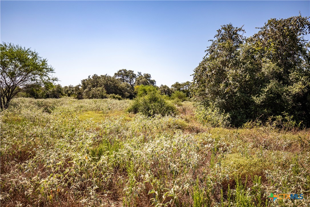 Spanish Moss Oak Ranchito | 109± Acres | DeWitt County
