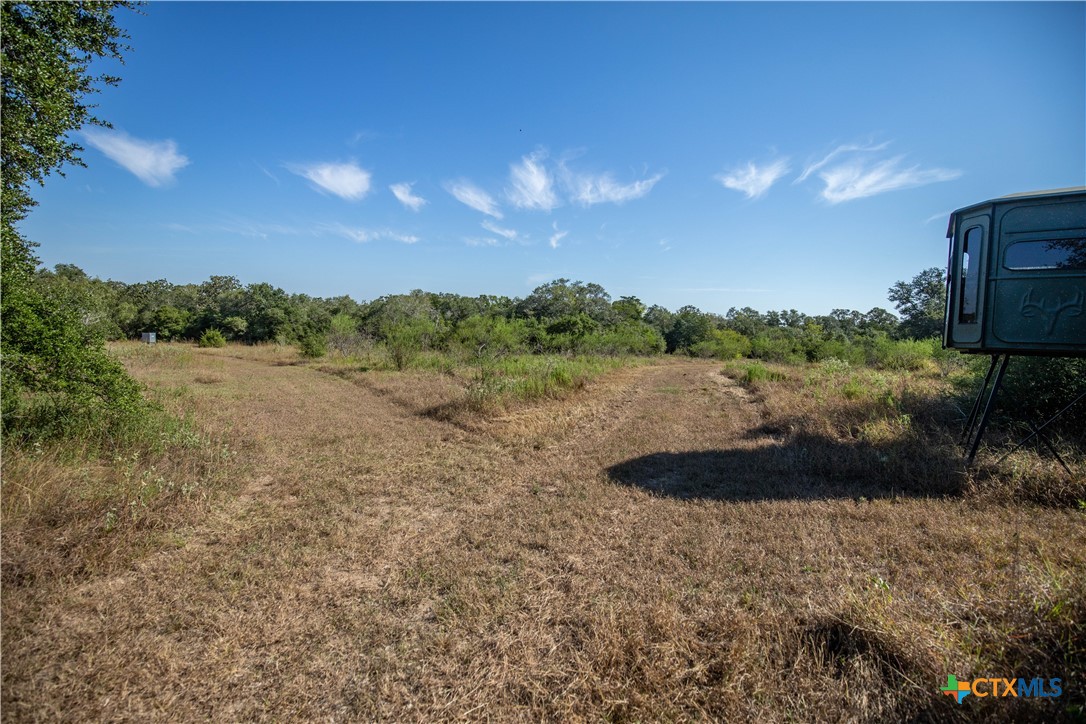Spanish Moss Oak Ranchito | 109± Acres | DeWitt County