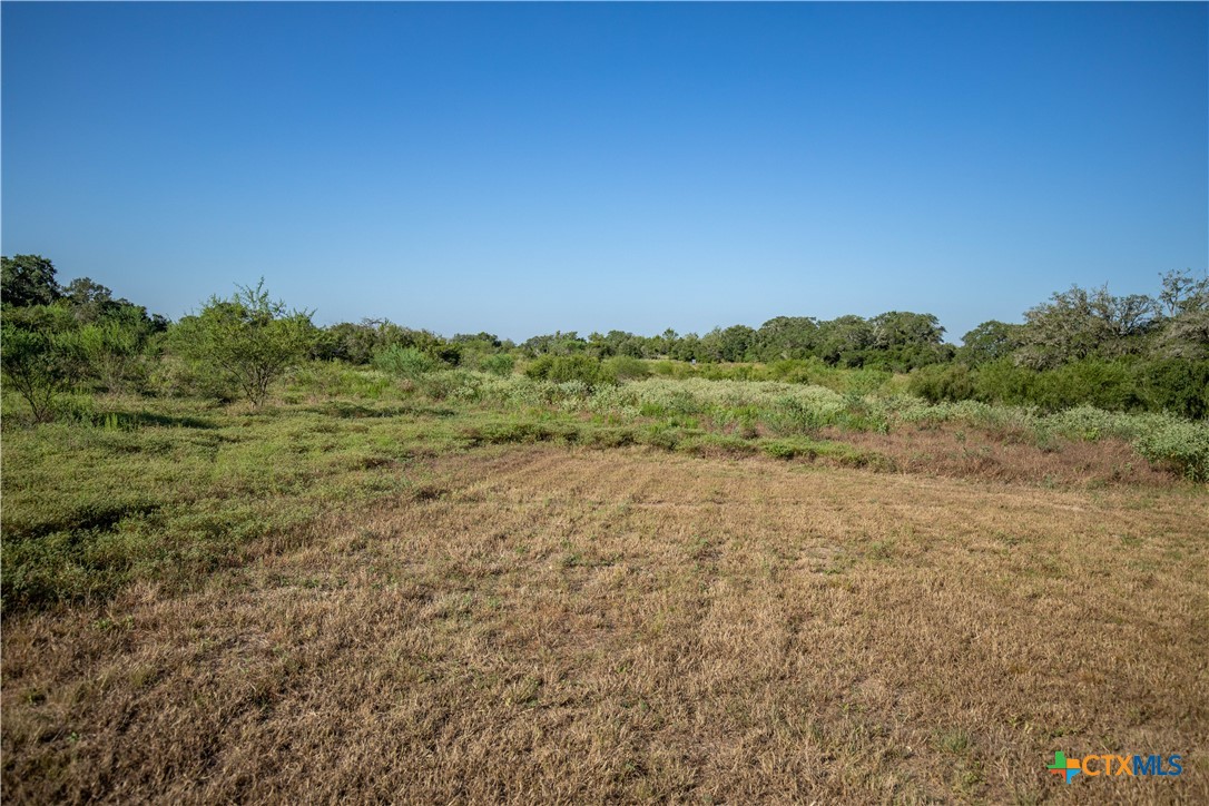 Spanish Moss Oak Ranchito | 109± Acres | DeWitt County