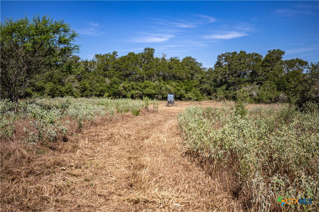 Spanish Moss Oak Ranchito | 109± Acres | DeWitt County