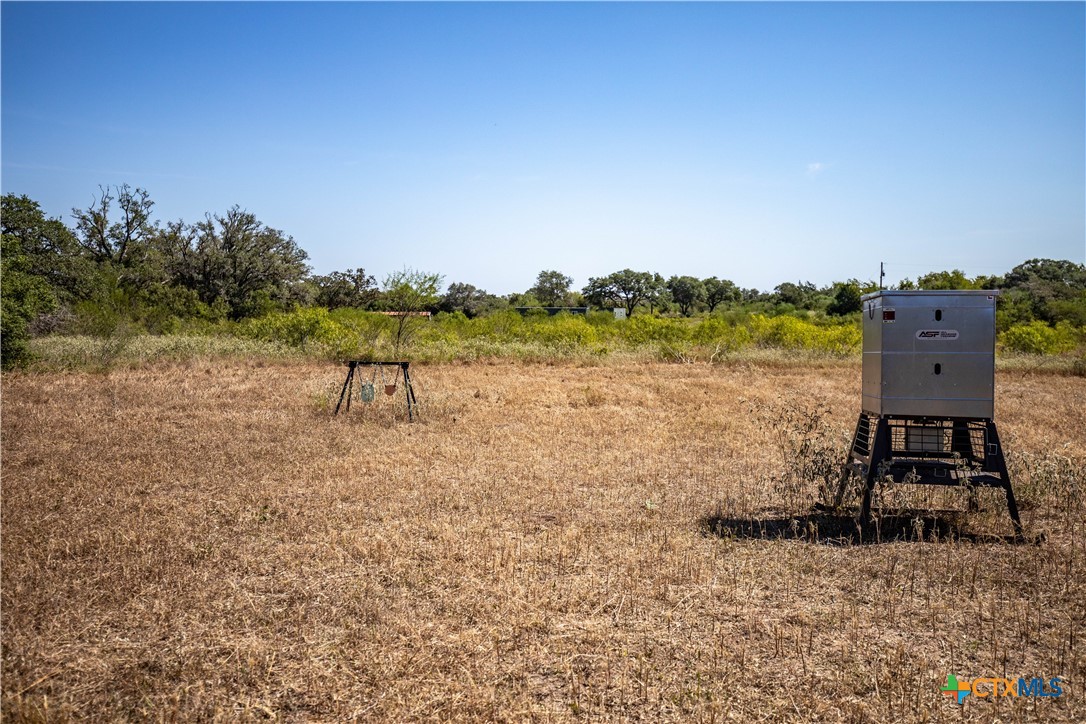 Spanish Moss Oak Ranchito | 109± Acres | DeWitt County