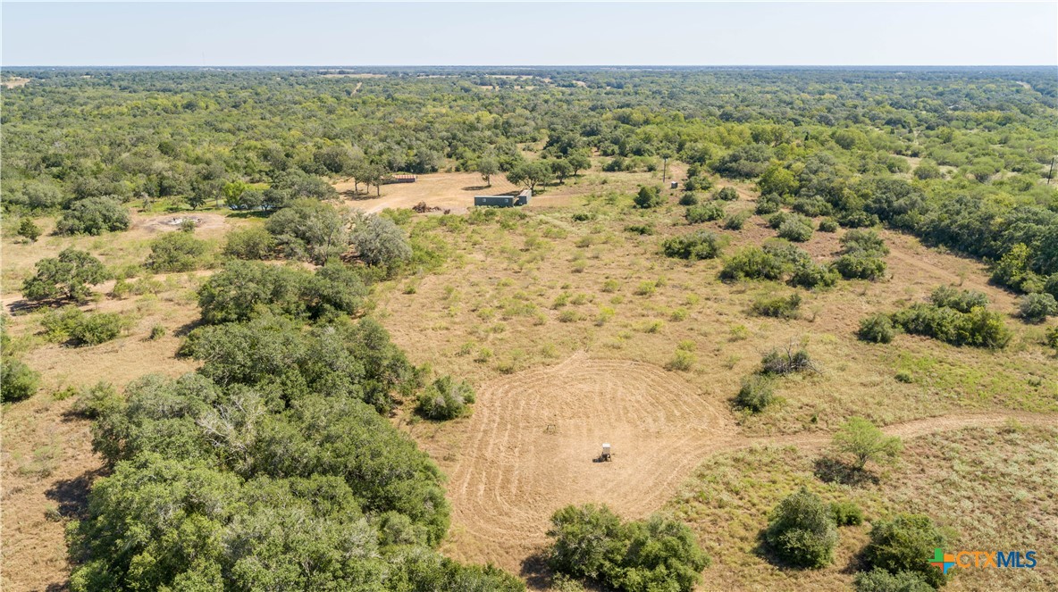 Spanish Moss Oak Ranchito | 109± Acres | DeWitt County