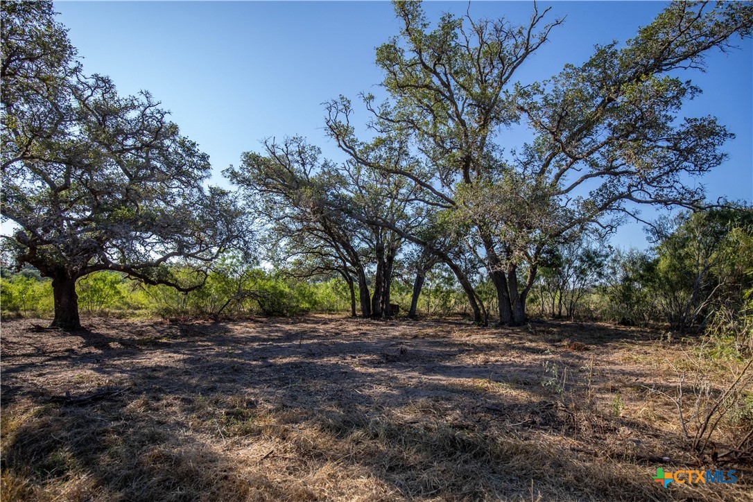 Spanish Moss Oak Ranchito | 109± Acres | DeWitt County