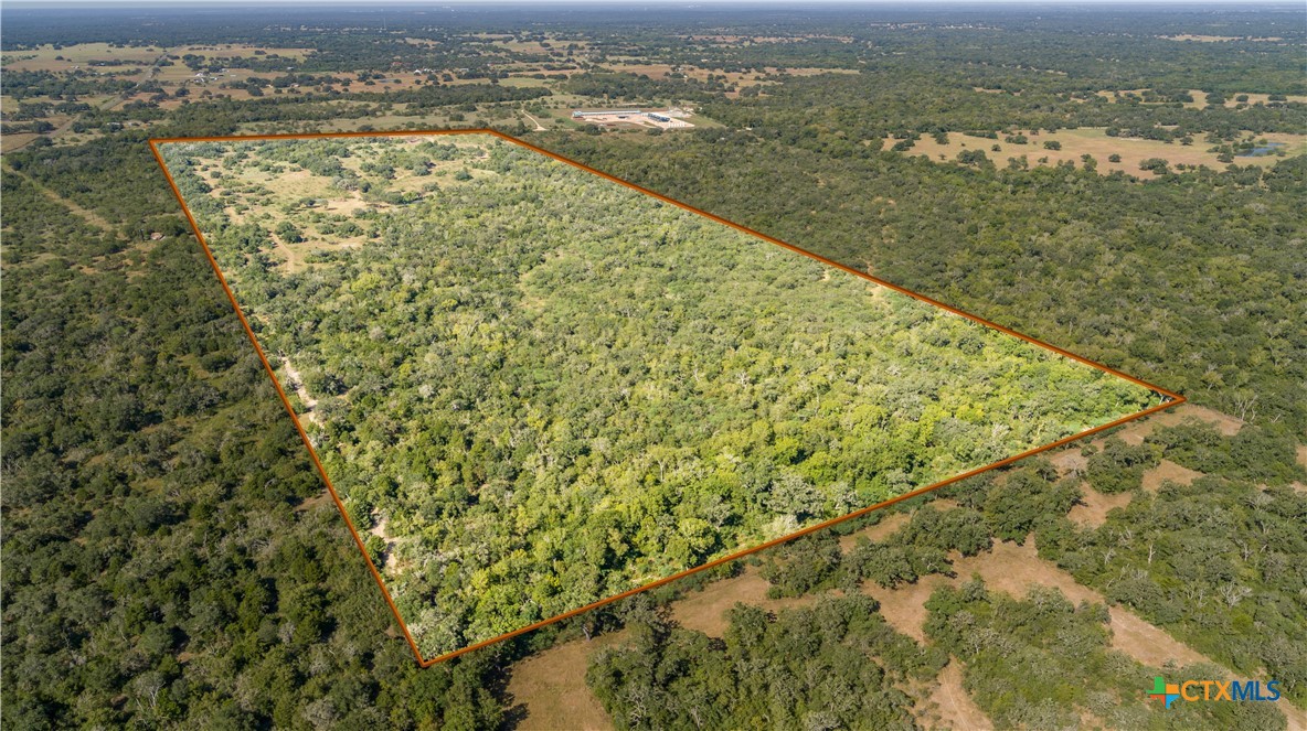 Spanish Moss Oak Ranchito | 109± Acres | DeWitt County