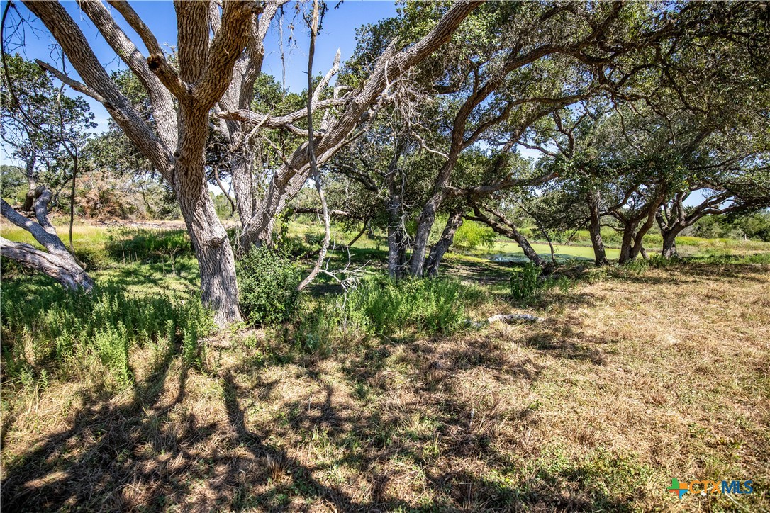 Spanish Moss Oak Ranchito | 109± Acres | DeWitt County
