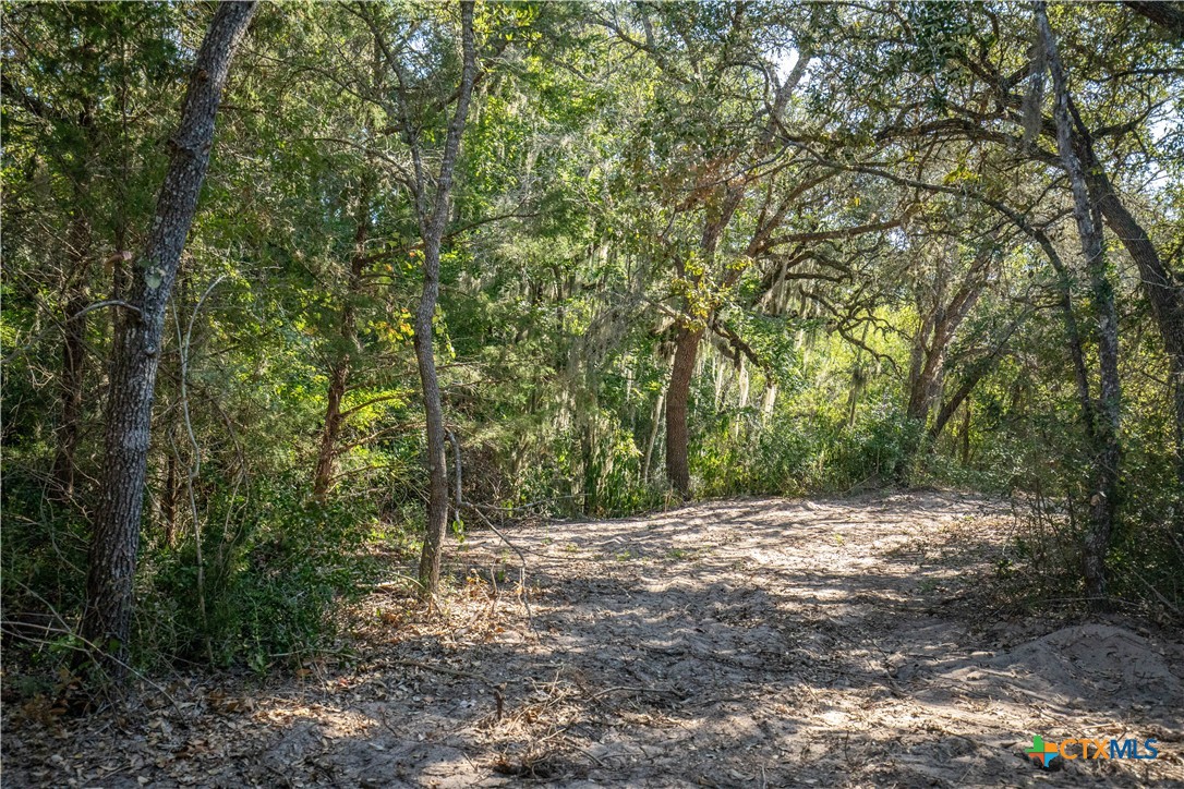 Spanish Moss Oak Ranchito | 109± Acres | DeWitt County