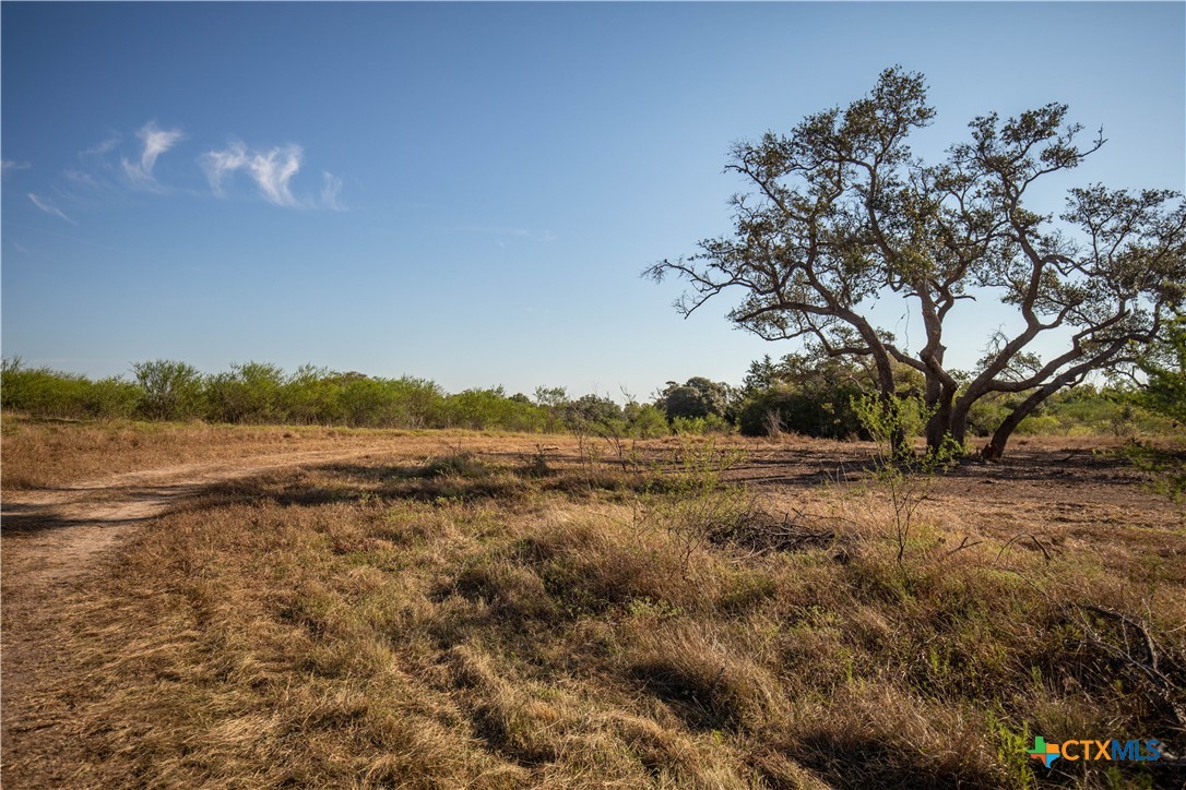Spanish Moss Oak Ranchito | 109± Acres | DeWitt County