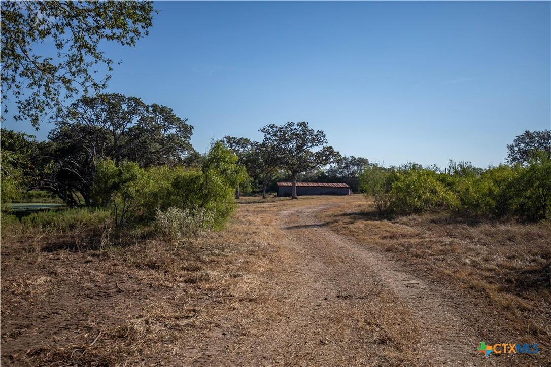 Spanish Moss Oak Ranchito | 109± Acres | DeWitt County