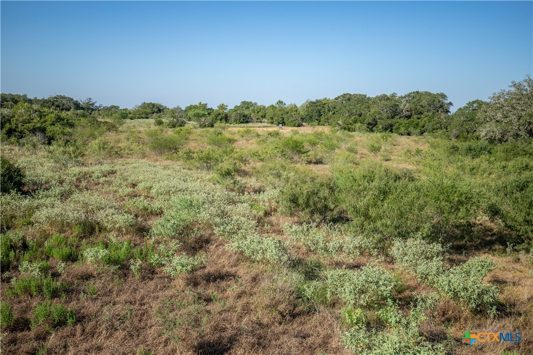 Spanish Moss Oak Ranchito | 109± Acres | DeWitt County