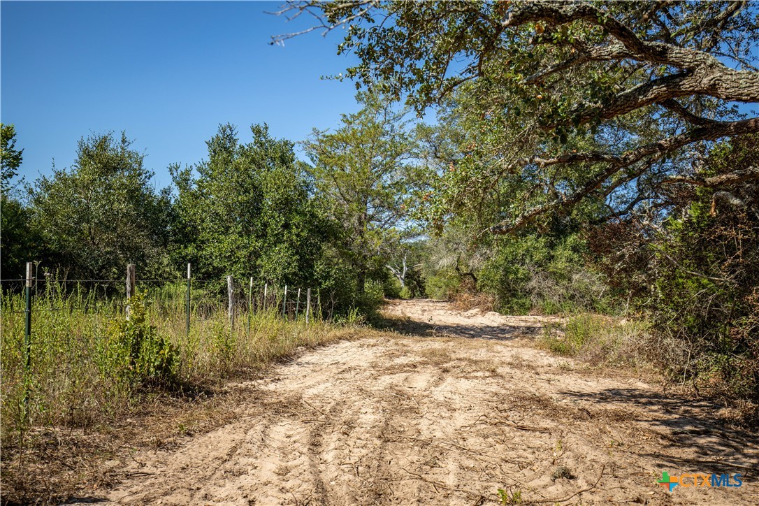 Spanish Moss Oak Ranchito | 109± Acres | DeWitt County