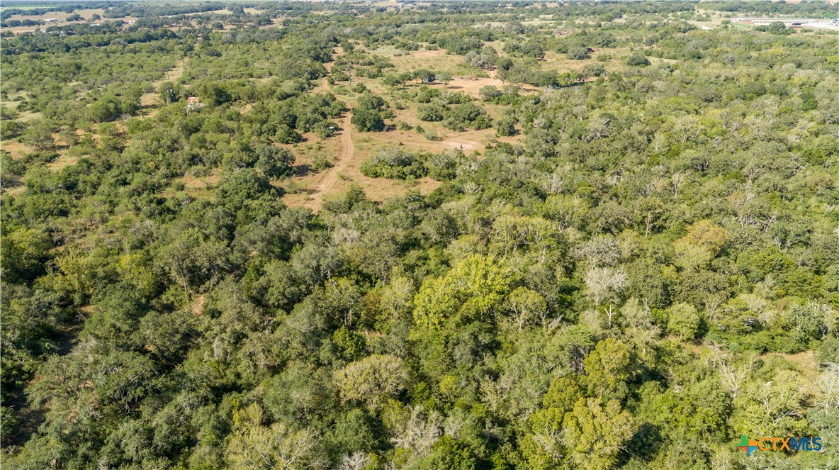 Spanish Moss Oak Ranchito | 109± Acres | DeWitt County