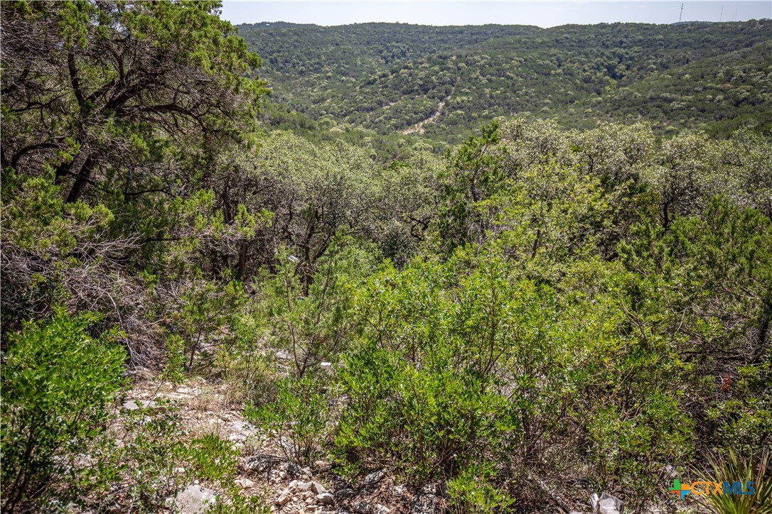Castle Lake Overlook | 16.9± Acres | Bandera County