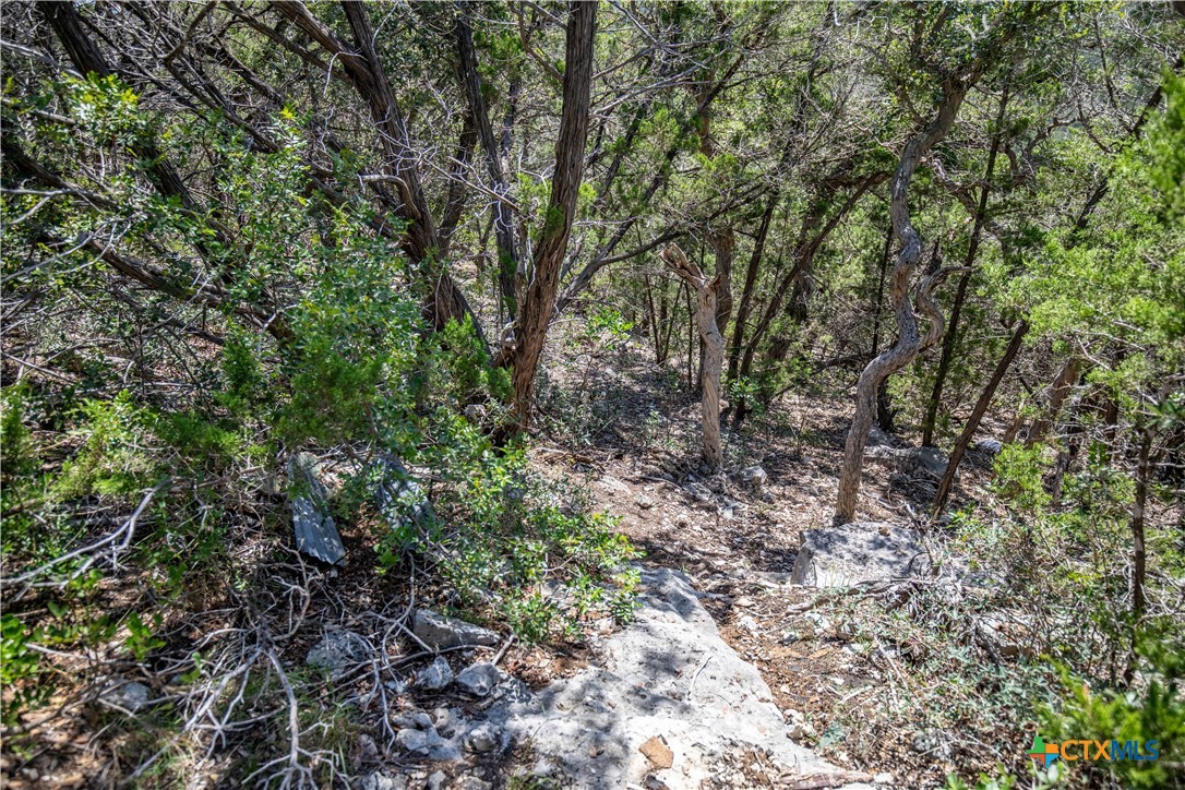 Castle Lake Overlook | 16.9± Acres | Bandera County