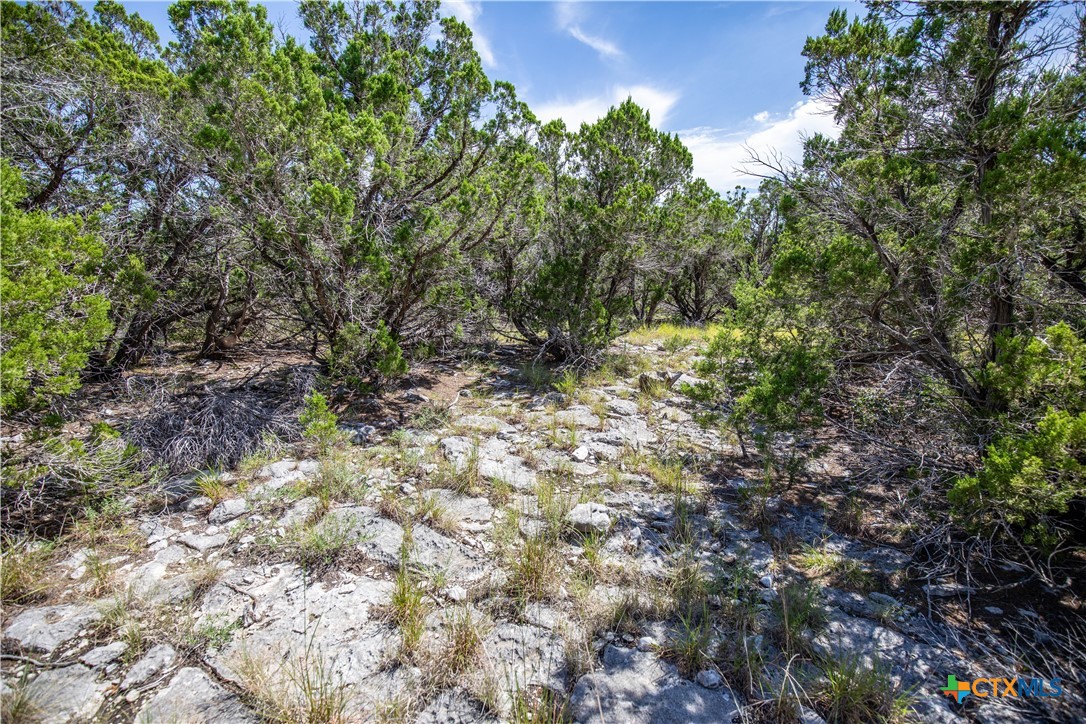 Castle Lake Overlook | 16.9± Acres | Bandera County